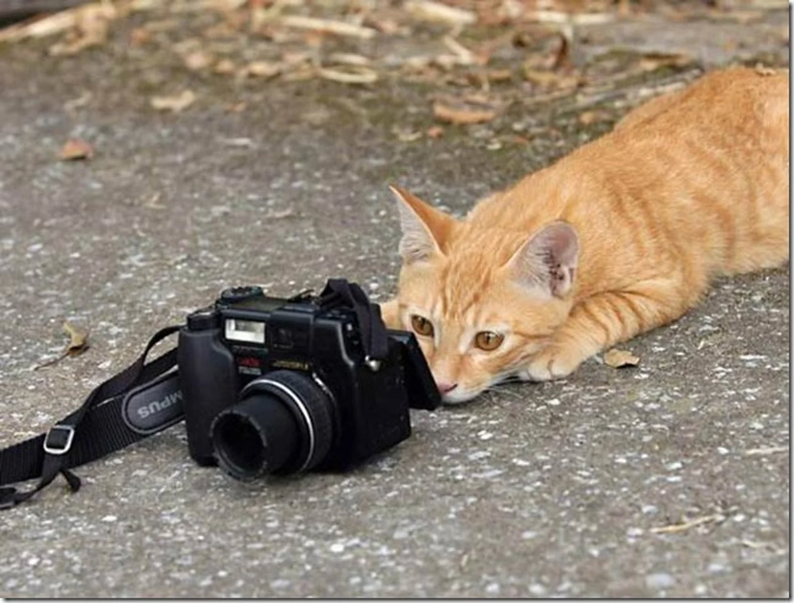 в ожидании кадра.webp