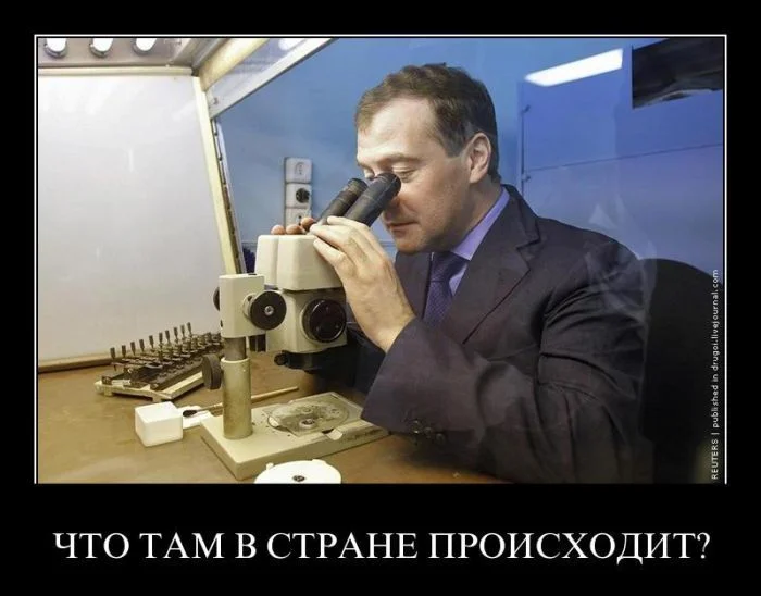 В стране.webp