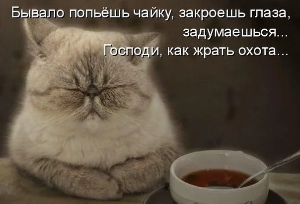 v0XvX79QCjc[1].webp