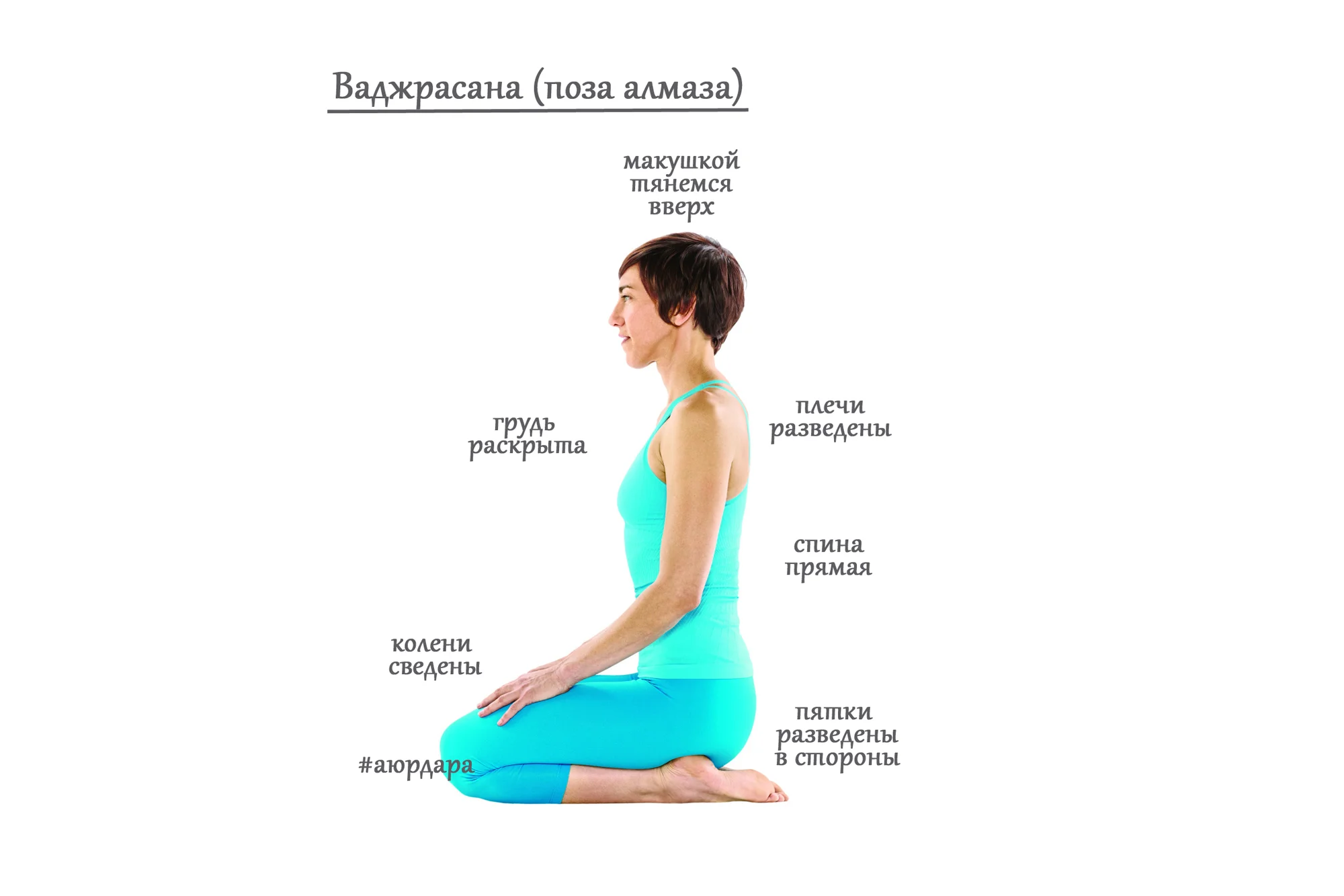 vadzhrasana.webp