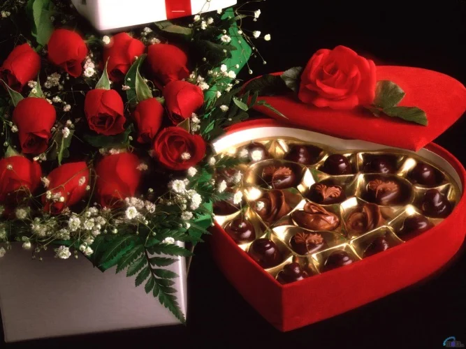valentine_088-crop.webp