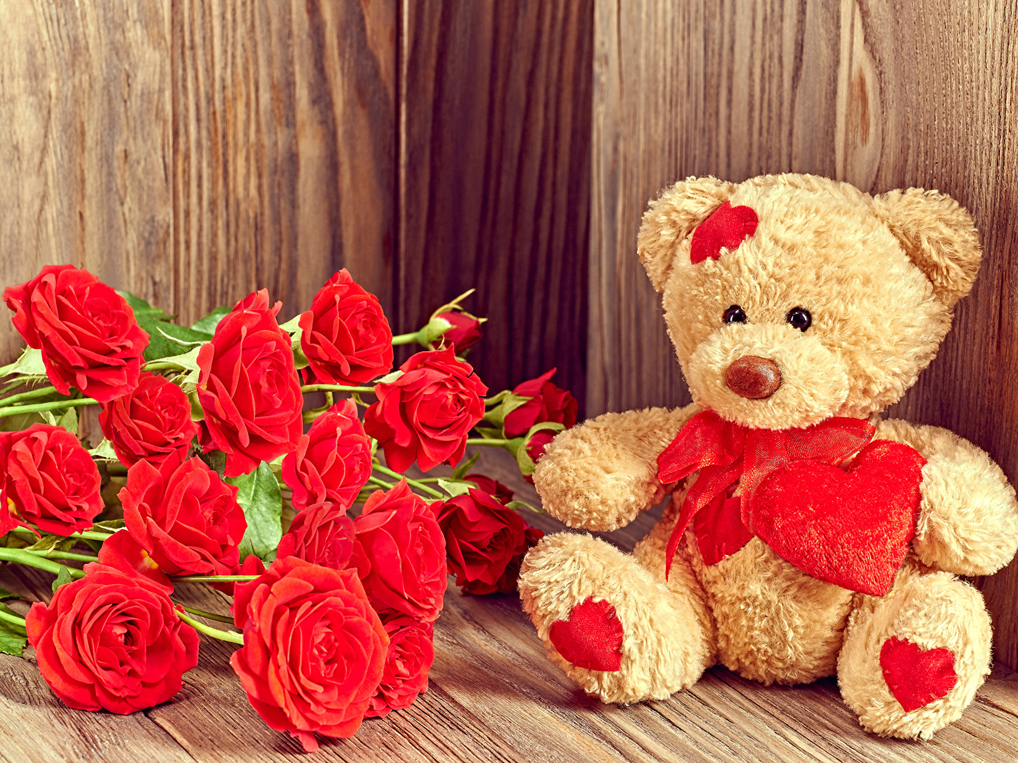 Valentine's_Day_Roses_Teddy_bear_Wood_planks_Red_514132_2048x1536.jpg