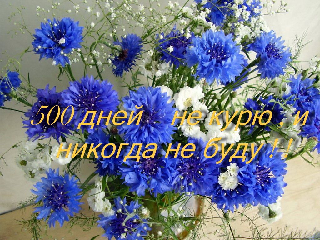 василк не курю 500 дней.jpg