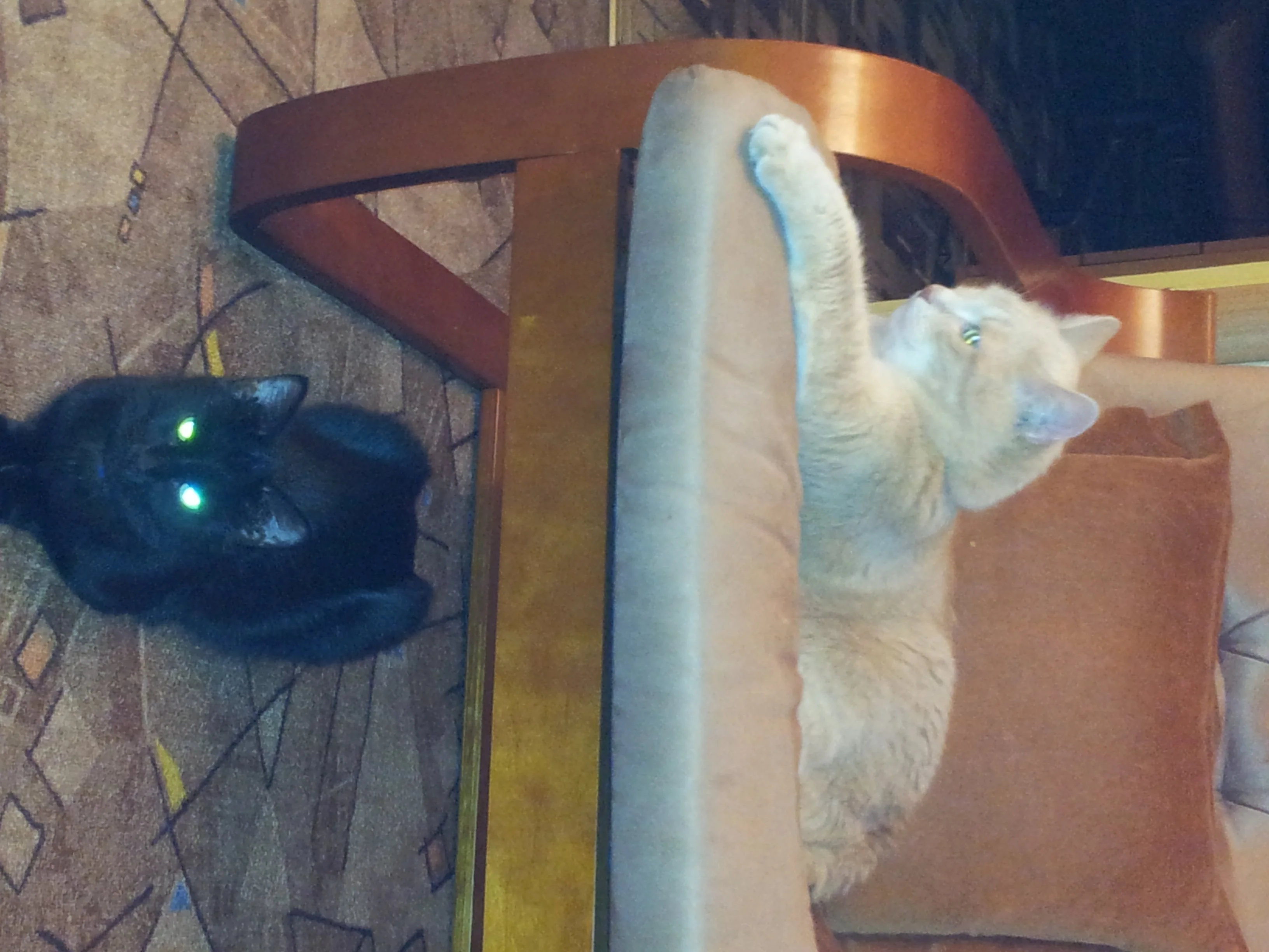 Вася и Ариша.webp