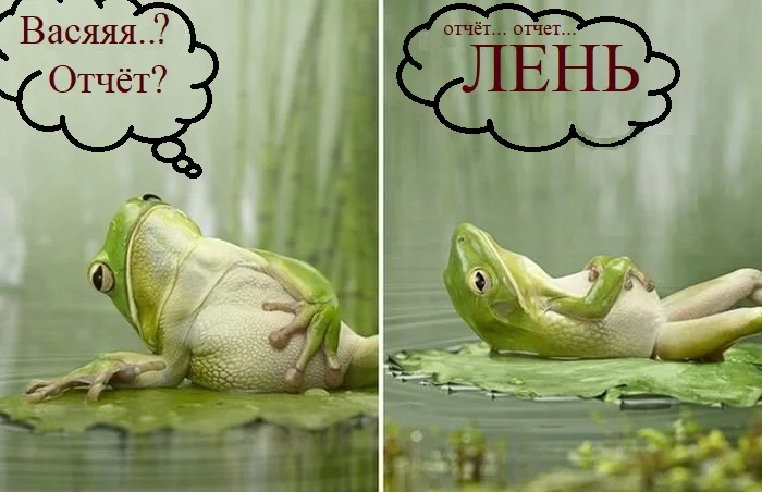 Вася отчет.webp