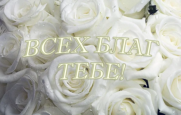 вбл.webp