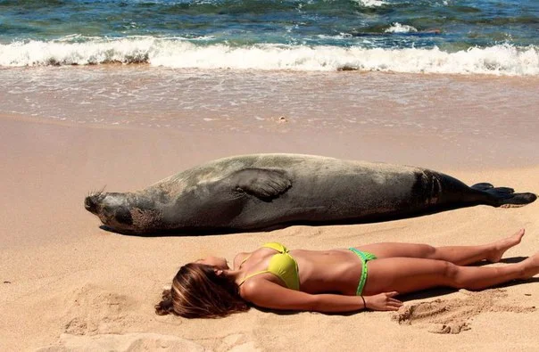 vBPySoxjOjM (1).webp