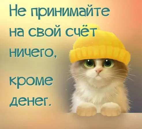 vd7kyFzufrY.webp