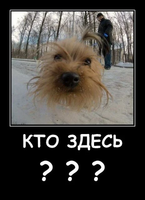 Вечер добрый.webp