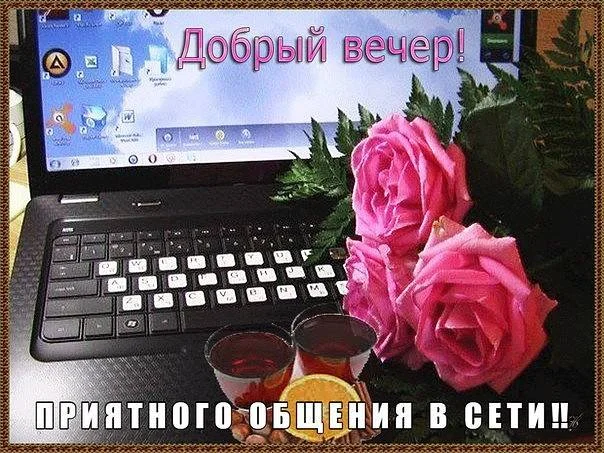 Вечер сеть.webp