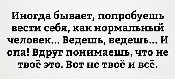 ведешь2.webp