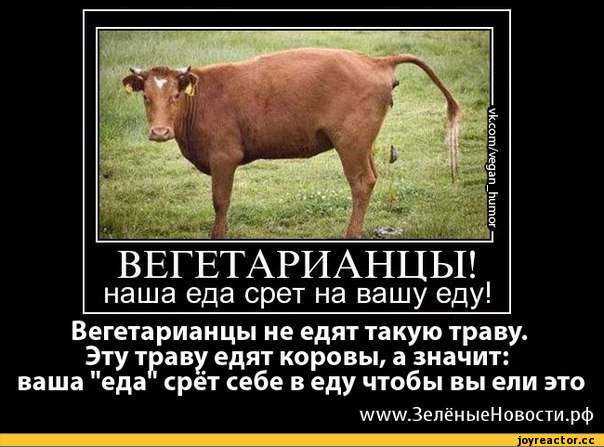 веганы-вегетарианство-песочница-468841.jpeg