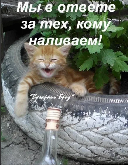 веглкнг.webp