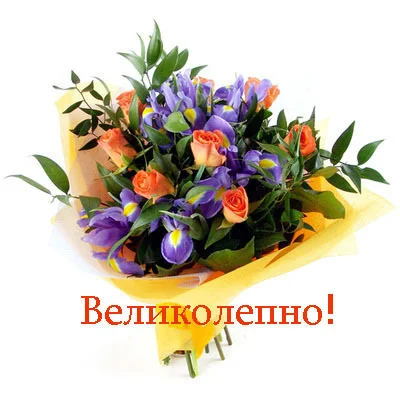 velikolepno.webp