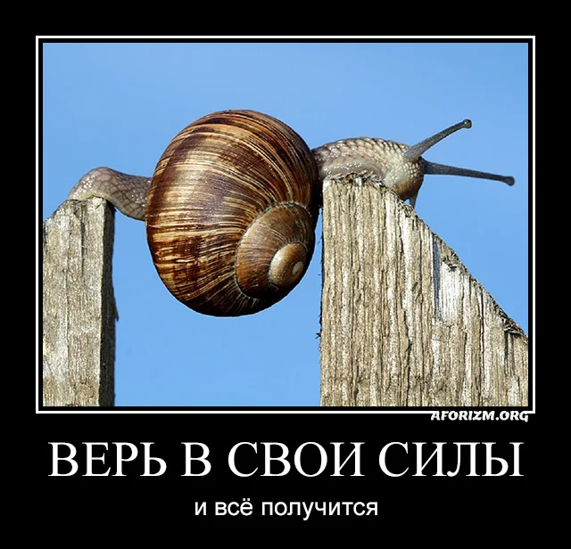 ver-v-svoi-sily-i-vsjo-poluchitsya.webp