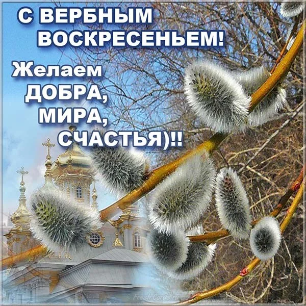verbnoe-voskresene-pozdravlenie-korotkoe.webp