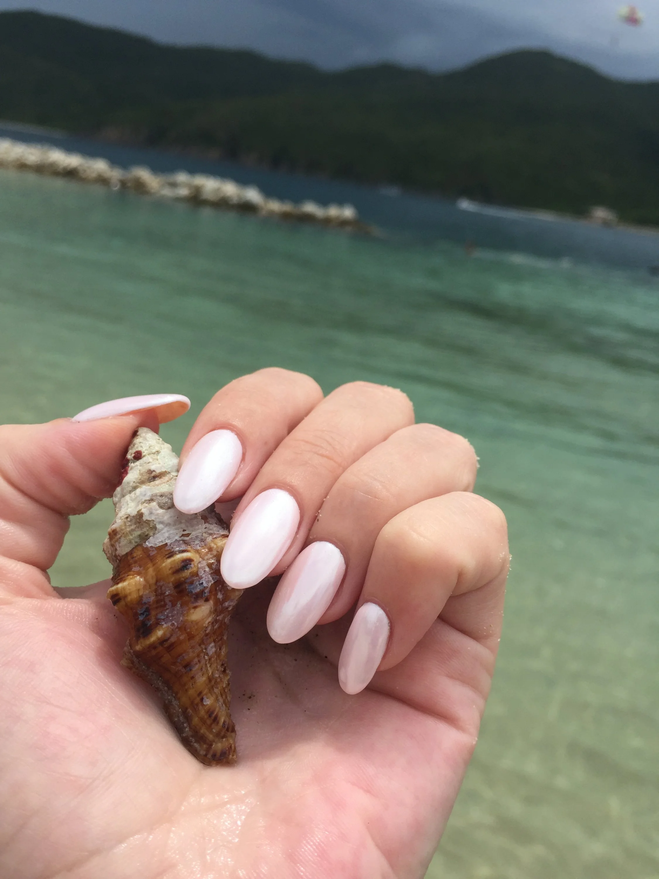 Веритас (1).webp