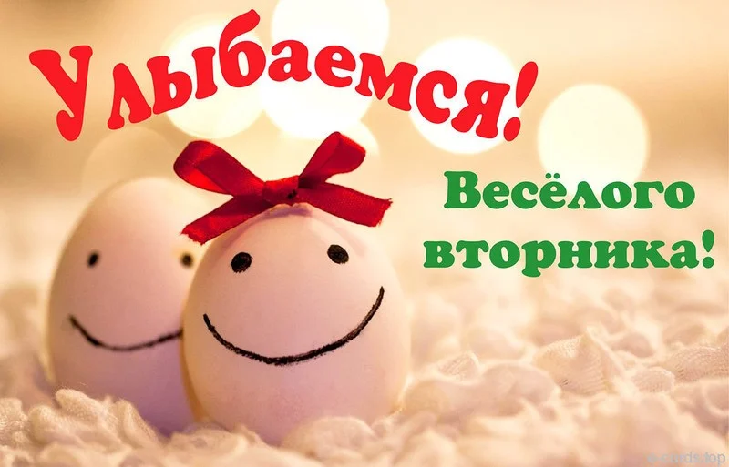 весел вт.webp