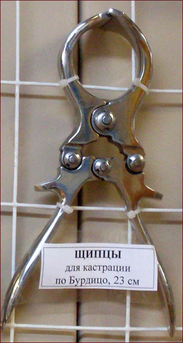 Весёлый Роджер 1.webp