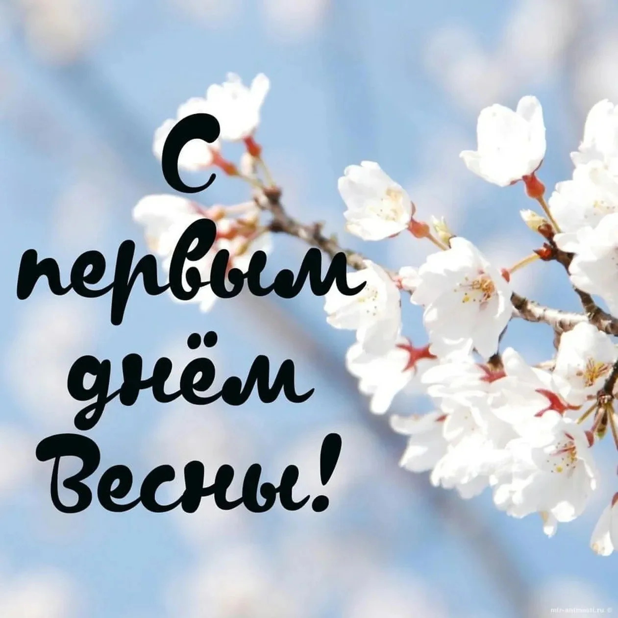 весна.webp