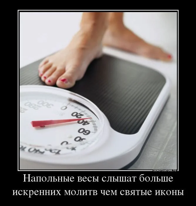 весы.webp