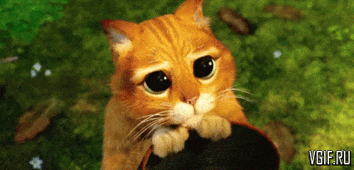 vgif-ru-1057.gif