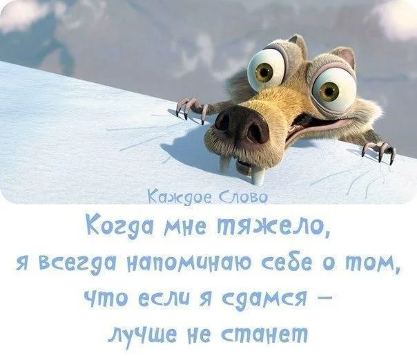 VHN_WNgDS1w.webp