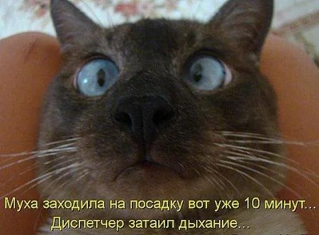 viber image 2019-03-24 , 11.13.23.webp