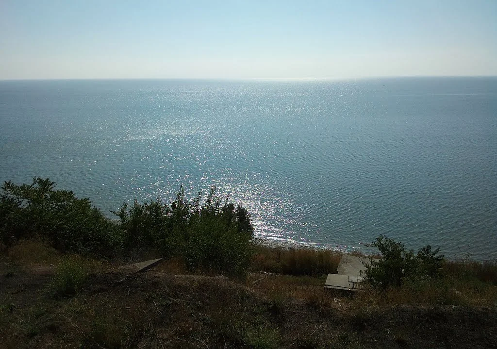 вид из окна.webp