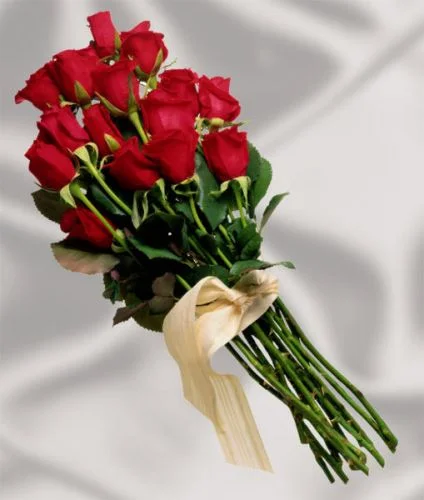 view_1984.webp