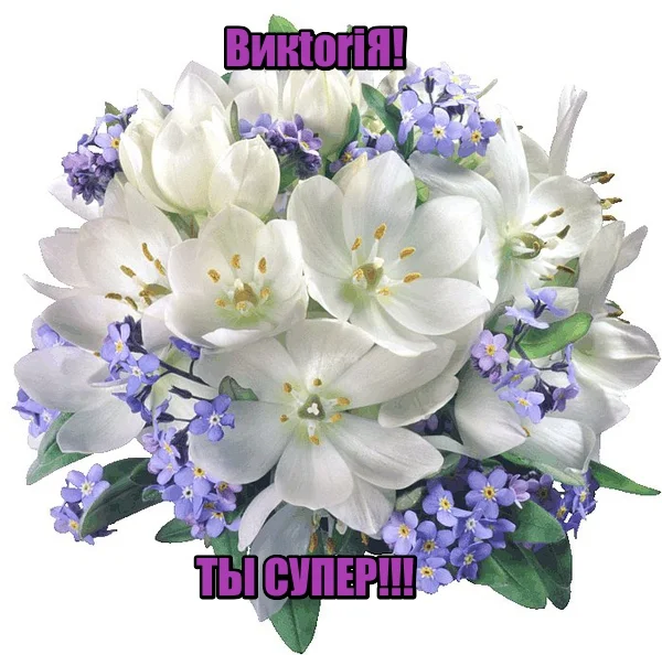 ВикtoriЯ.webp
