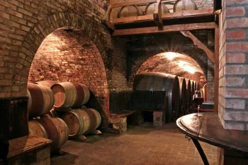 ВИННЫЙ ПОГРЕБ.webp