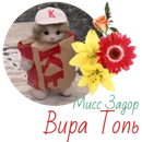 Вира Топь.webp