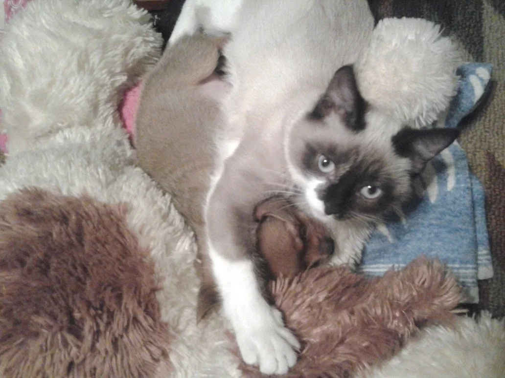 Вися и Соня.webp