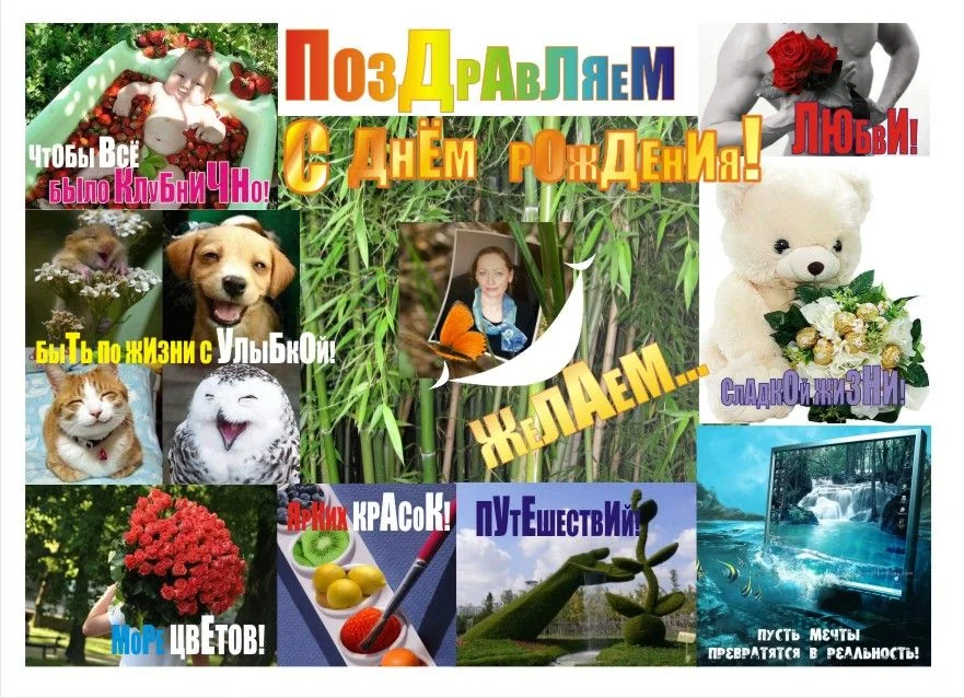 Вита 14.01.13.webp