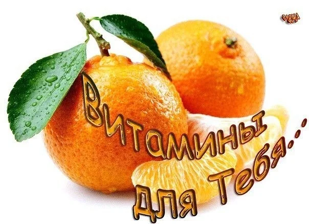 vitaminy-dlya-tebya.webp