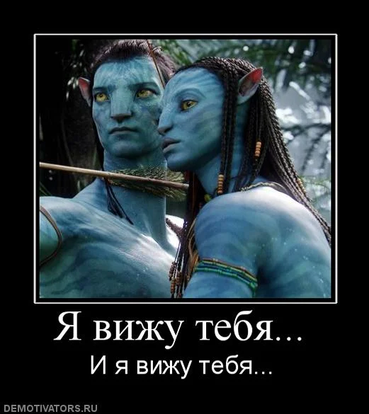 vizhu_tebja.webp