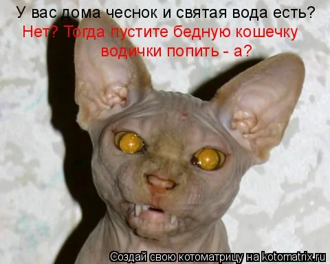 вятая вода.webp