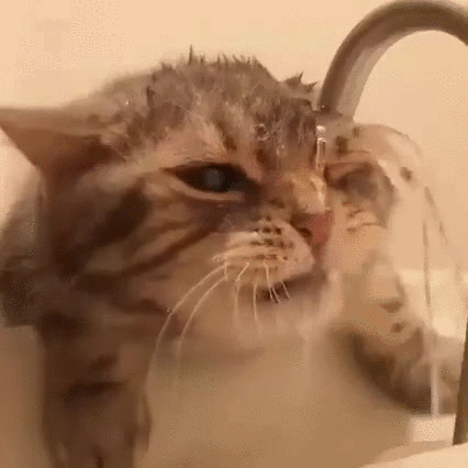 vk_com_gif_fak (7).gif