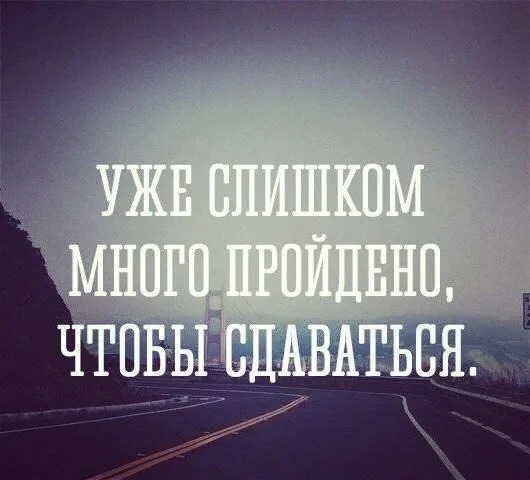 VK_Saved_Photo_ 635825967708741509.webp