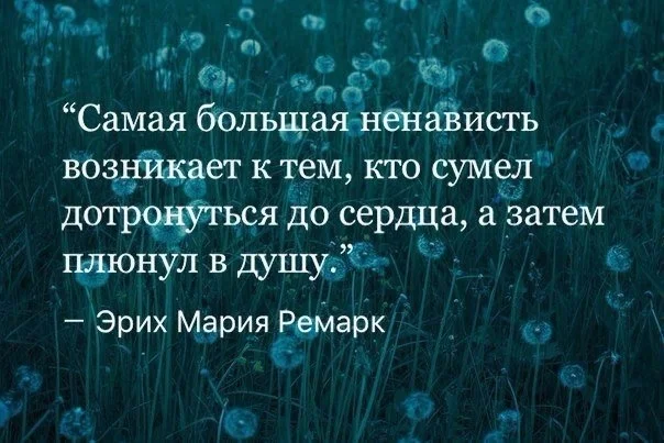 VK_Saved_Photo_ 635972247522048604.webp