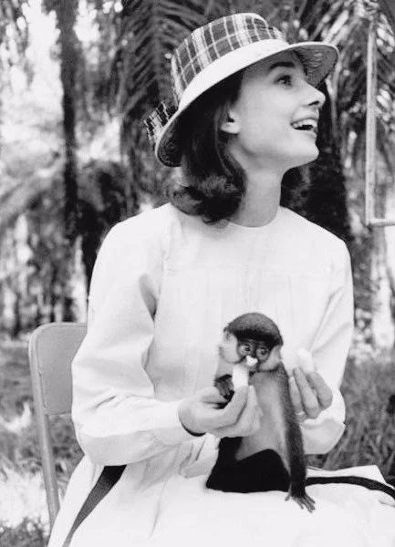 VK_Saved_Photo_ 635977404350905668.webp