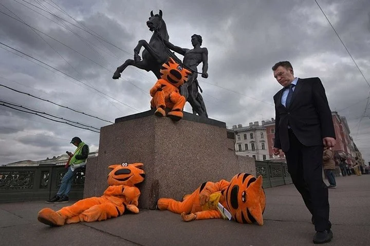 VK_Saved_Photo_ 636062609823166510.webp