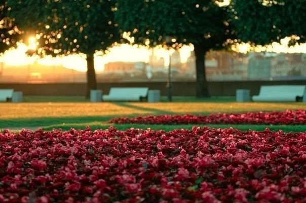 VK_Saved_Photo_ 636066150676908339.webp