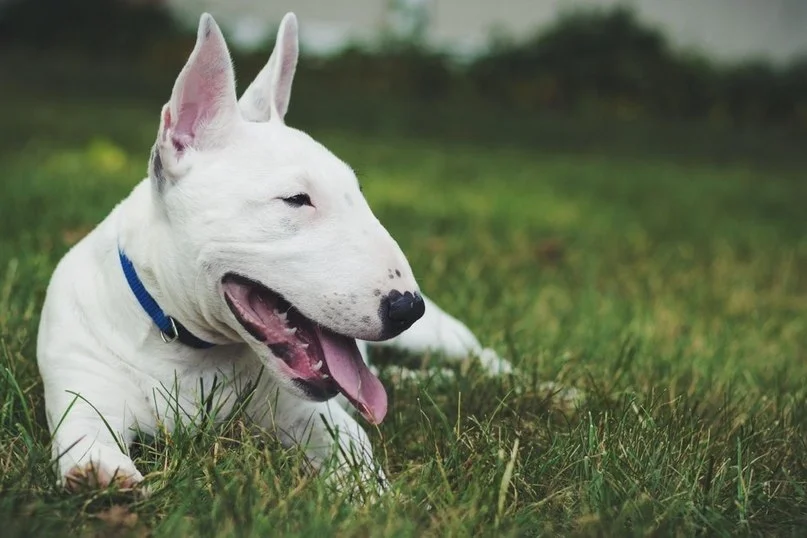 VK_Saved_Photo_ 636066344082123239.webp