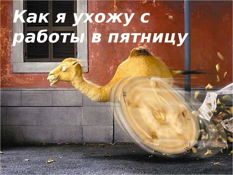 VK_Saved_Photo_ 636071918055944396.webp