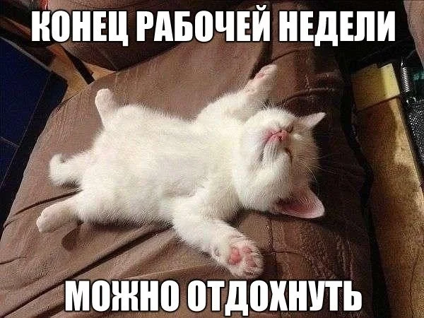 VK_Saved_Photo_ 636089737791276437.webp