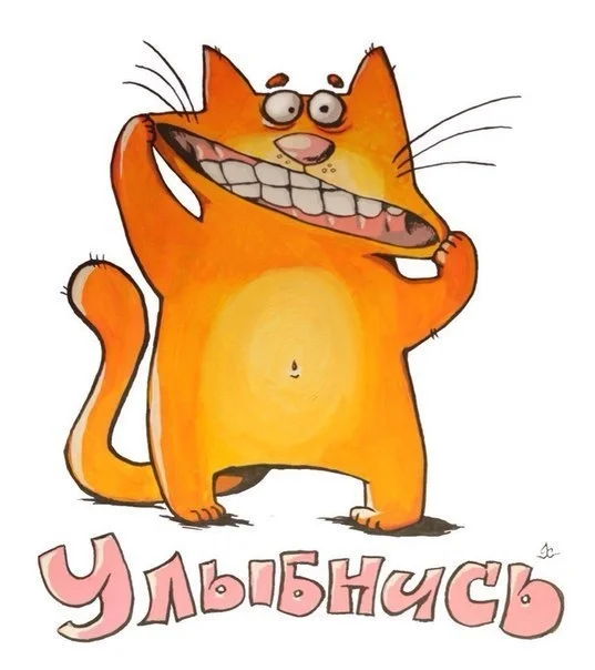 VK_Saved_Photo_ 636137137427504537.webp