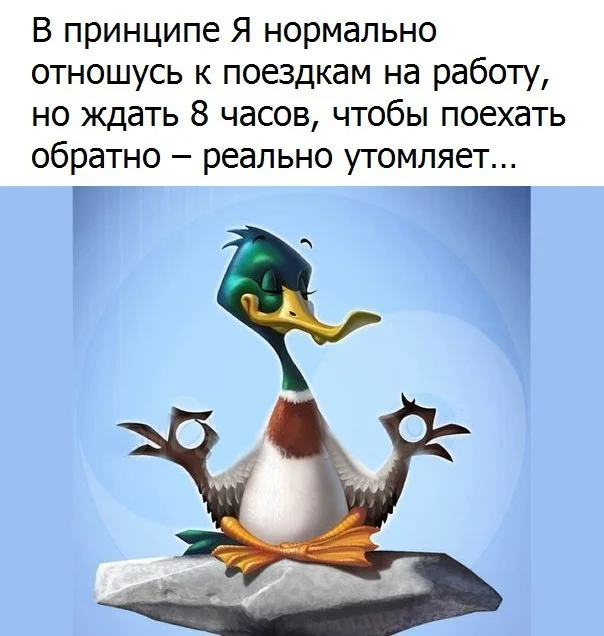 VK_Saved_Photo_ 636137153559356644.webp