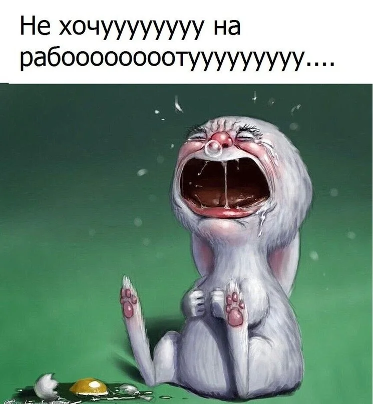 VK_Saved_Photo_ 636137267021893993.webp